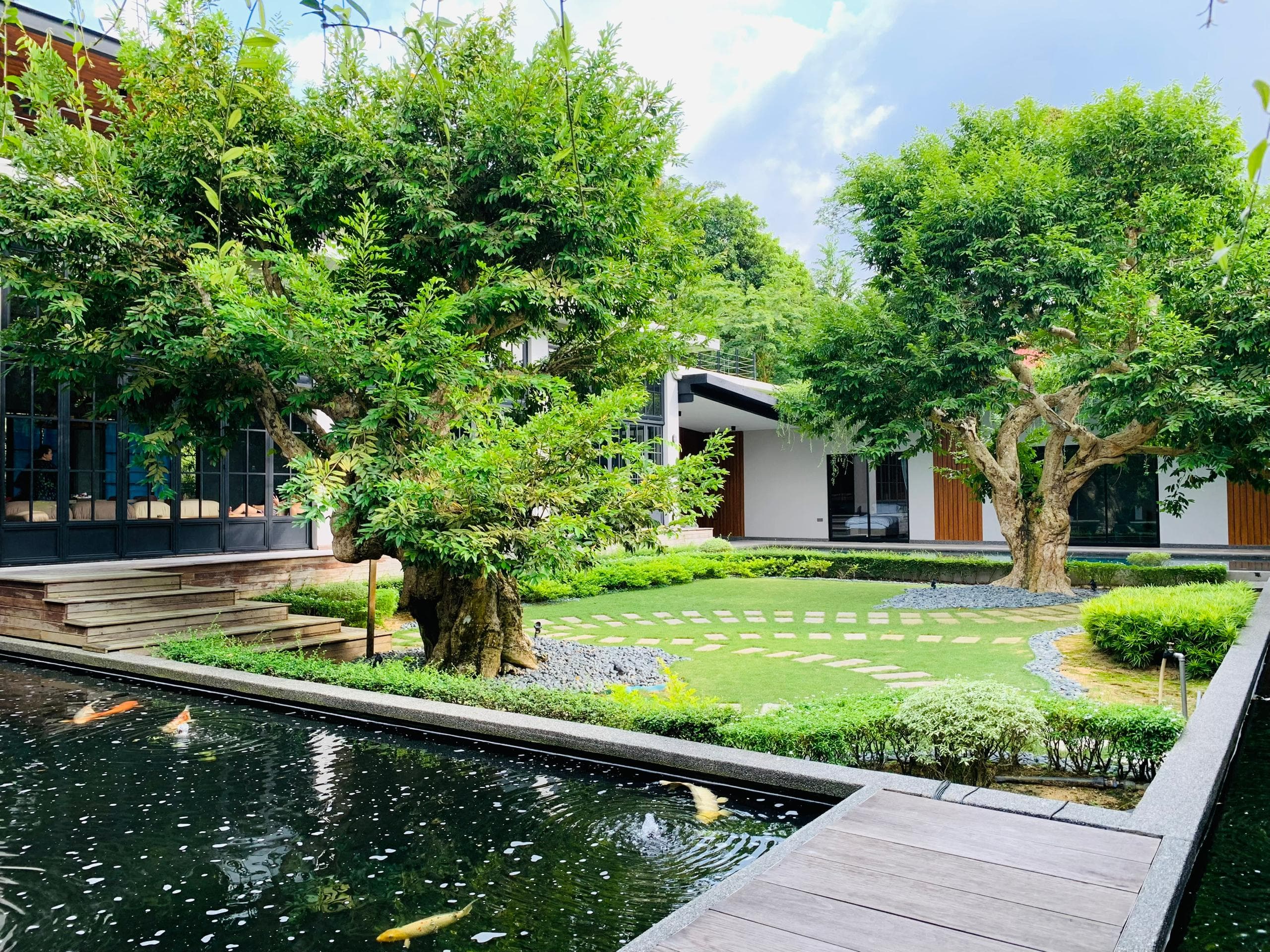 Villa grounds — koi pond, old trees, manicured garden