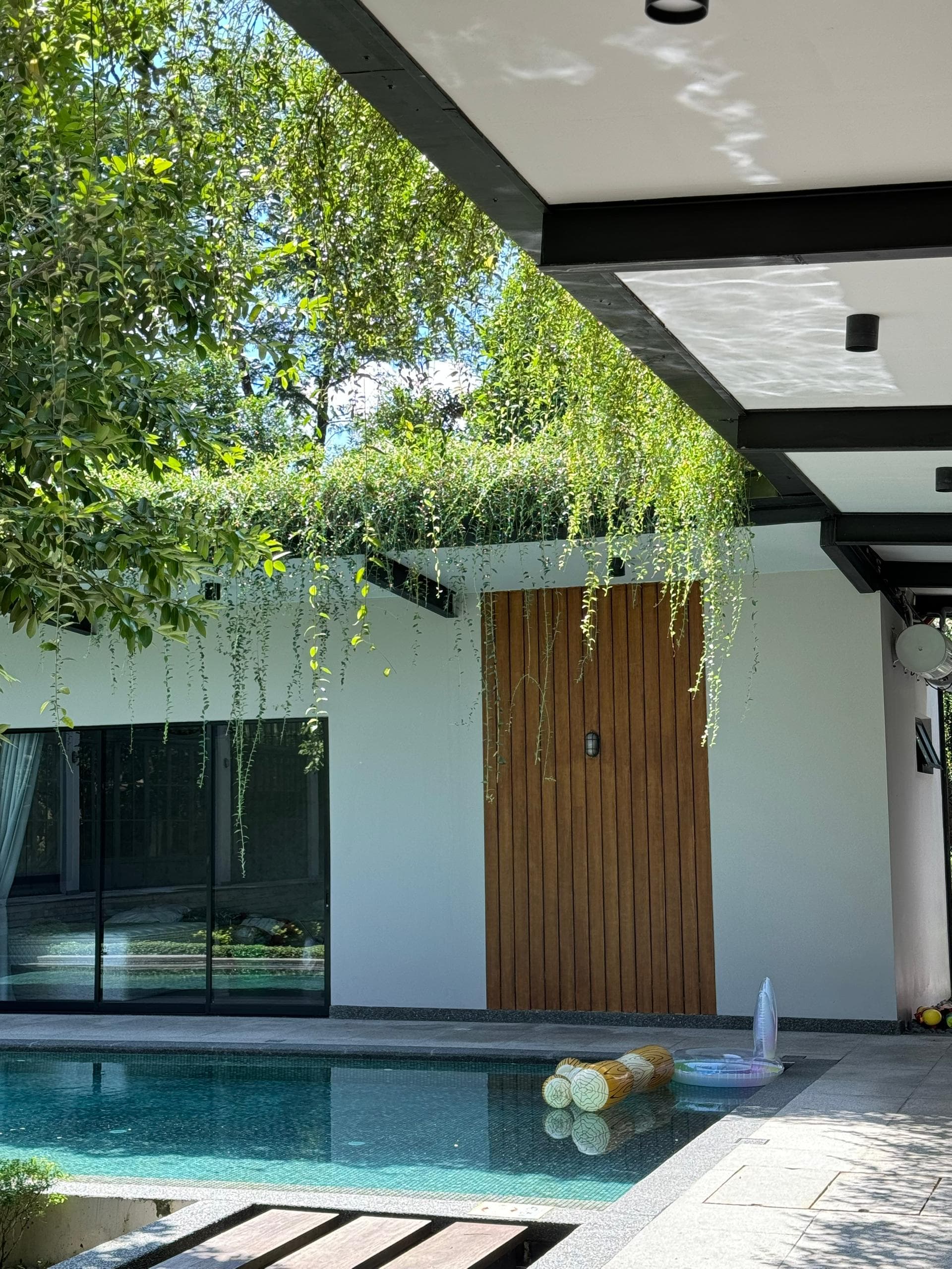 Pool with hanging vines and wooden door
