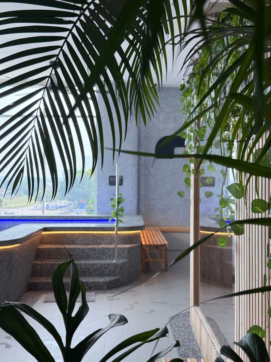 The plunge framed by palms and hanging plants